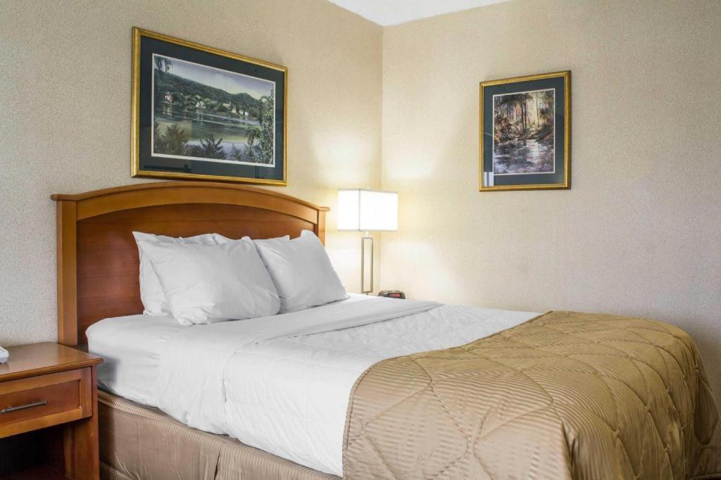 Lifestyle Inn Cedar Falls Extérieur photo